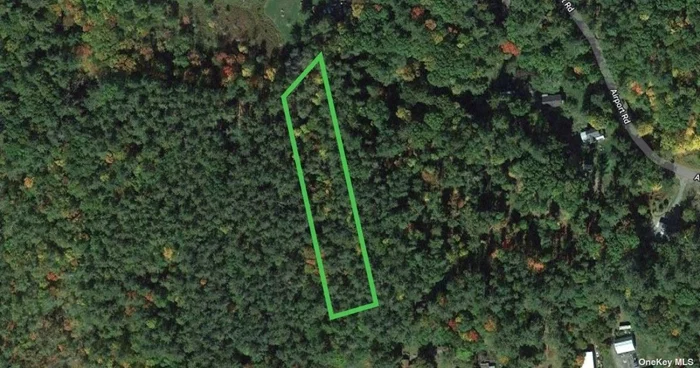 This 1.5-acre commercial vacant land in Eldred, NY, offers a prime opportunity for investment, featuring a wooded setting and no restrictions to limit your vision. Nestled in the scenic Catskills, Eldred is known for its friendly community and proximity to local attractions such as the picturesque Beaverkill River and beautiful hiking trails. The property is conveniently located just a short drive from the vibrant town of Monticello, providing easy access to amenities and services. Priced below market value, this unique land opportunity represents the best deal on the market-don&rsquo;t miss your chance to make your mark in this charming area!