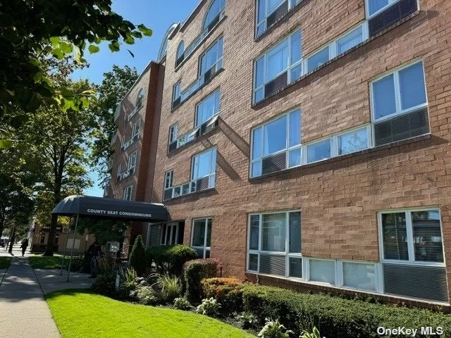 ***Beautiful 3rd Floor Unit in the Heart of Mineola*** Featuring Spacious Rooms Including Master Bedroom w/ Master Bath, Bedroom, Full Bath, Living Room w/ Sliders to Balcony; Dining Area, Kitchen; Hardwood Floors, Lots of Closets; W/D in Unit, Balcony, Elevator Building, 1 Assigned Parking Spot Included, Near Buses, LIRR, Shops, Restaurants, Winthrop Hospital, Mineola Schools. Tenant pays Electric & Cable; Pet Friendly