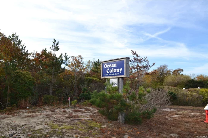 Welcome to the Ocean Colony Beach and Tennis Club in Amagansett where this charming 500sq ft second floor unit will for sure win your heart. The one bedroom, one bathroom unit boasts an entry hall with open floor showcasing kitchen, living room, dining area, and a balcony with views of Napeague Harbor. Shareholders enjoy all the amenities and services of the Ocean Colony Beach and Tennis Club: private beach with chair and towel service, heated pool, tennis courts, clubhouse, and maid service. The Ocean Colony is located between Amagansett and Montauk, with Hither Hills State Park, trails, Lazy Point, Clam Bar, and Lunch Lobster Roll restaurants at a short distance. Whether you are looking for oceanfront living, or an investment property, this one is for you.