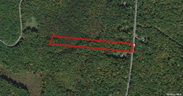 Embrace the beauty of nature with this expansive 5.1-acre wooded lot in Glen Spey, NY, where tranquility and adventure await. Nestled in the heart of the Catskills, this property offers ample opportunities for hiking, fishing, and enjoying the great outdoors, with nearby attractions like the stunning Delaware River and the scenic Minisink Battlefield Park. Just a short drive from metropolitan areas, you&rsquo;ll have the perfect balance of rural charm and urban convenience. Selling below market value,  this is the best deal on the market-don&rsquo;t miss your chance to create your own private retreat in this idyllic setting!