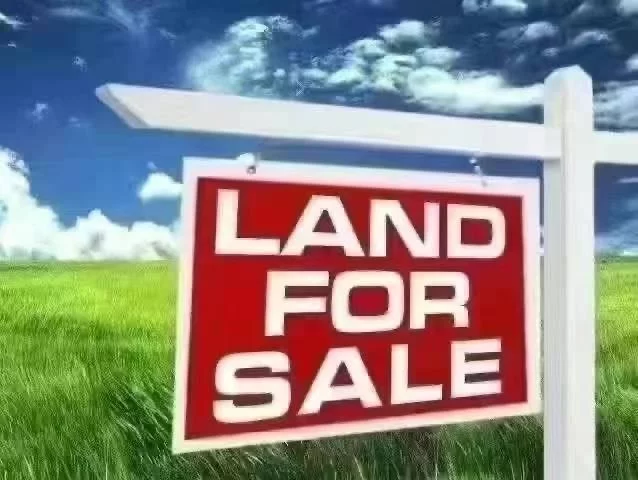 Attention buyers and builders seeking a prime opportunity for development consider these two lots 4198-05-07 College Point Blvd is10, 000sqft with R5B zoning, 100 X 100. FAR 1.35 + Facility, buildable 19, 766 sqft, Buyers must consult with an architect to explore the full potential of new construction....... One of the Very few undeveloped open spaces in Downtown college point for development. College Point is a rising community, and property centrally close to everting, Bus stop, supermarkets, BJ shopping mall, target, restaurants, offices, medical facilities, and parks. PROPERTY SURVEY IS AVAILABLE UPON REQUEST