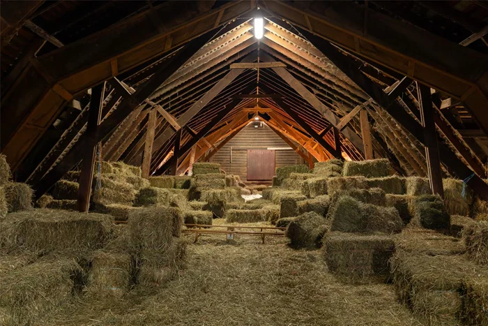 Barn