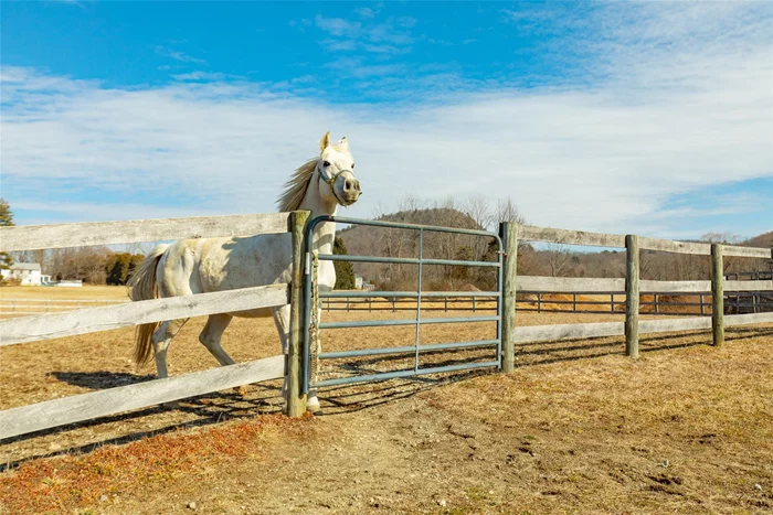 Fence