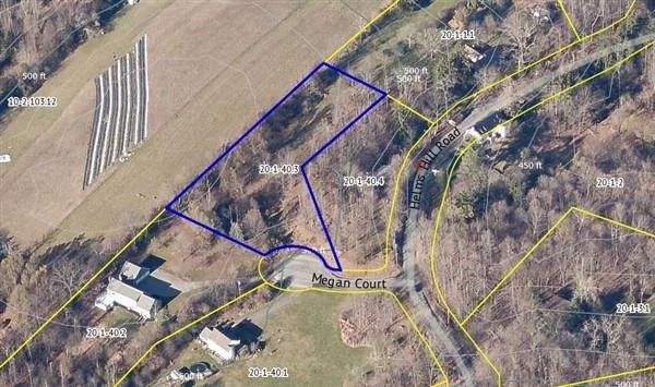 1.5 acre of beautiful and largely flat land set in a quiet cul de sac (with only 2 other homes on it). The buildable lot is cleared with mature trees on the perimeter guaranteeing privacy year-round. The property has a private driveway access to the cul de sac and sits on a higher ground relative to Helms Hill Road which makes it a perfect spot to build your dream home.The lot also borders a 75 acre local lavender farm and it could serve as an access road to the large lot for someone interested in purchasing and developing it.Buyer to verify building requirements with the town of Blooming Grove.