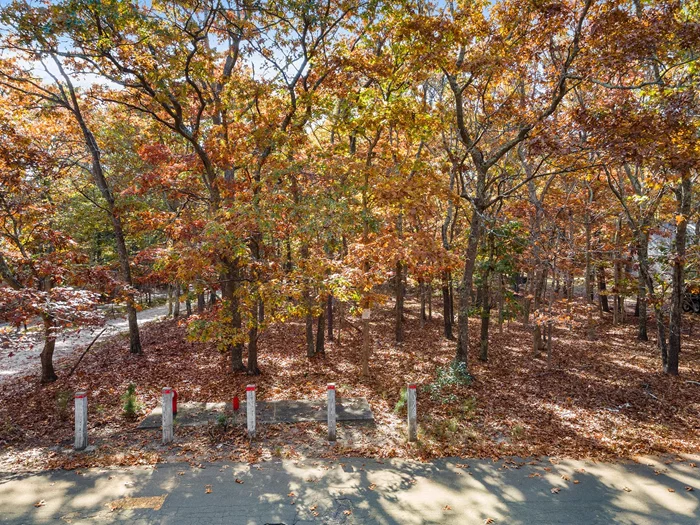 Build your dream. Moments to East Hampton Village. This shy half acre is on a bucolic street that has seen a number of great new homes pop up recently. Create your dream.