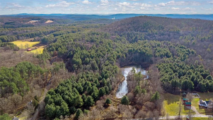 In the heart of Chatham, this 123-acre pristine wooded paradise is a rare gem. With a serene pond and enchanting old stone walls that meander throughout the property it is a harmonious blend of natural beauty and timeless character. The property is a stunning canvas of mature trees, stone outcroppings, and picturesque landscape. Two road access points offers the choice of entry and development from two separate roads. The land is ideally suited to create a secluded country retreat, a family compound, or be subdivided into multiple exclusive estate-sized lots perfect for discerning buyers. This property clearly defines tranquility meets convenience in sought-after Chatham with its arts institutions, land preserves, range of dining and shopping options and close proximity to the historic hamlets and villages of Old Chatham, Chatham and Kinderhook. Easy access to I-90, Albany, and The Berkshires.