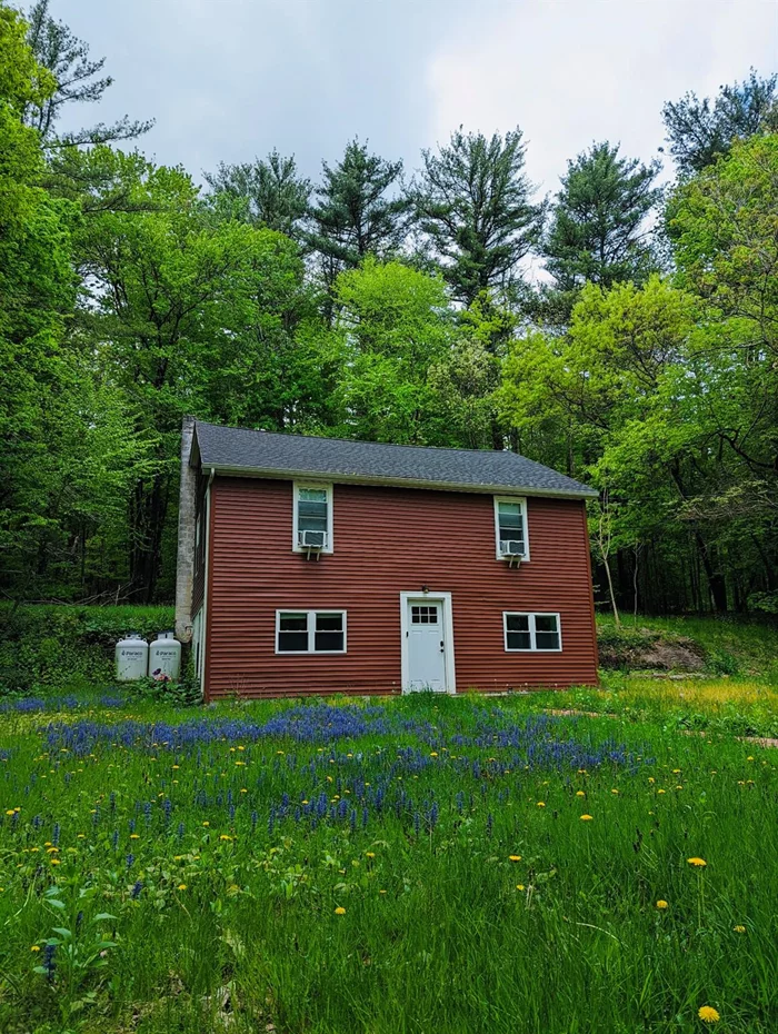 Set on 1.5 acres surrounded by wildflowers and mature trees, is your new light filled home! Completely renovated in 2020, conveniently located minutes to Blue Mountain, Saugerties shops and eateries, Opus 40 and much more, this could be a perfect weekend getaway or full time residence. The current owner has enhanced the outdoor feel with garden beds, a fire pit, and planted wildflowers all around completing the feel of a storybook country home!