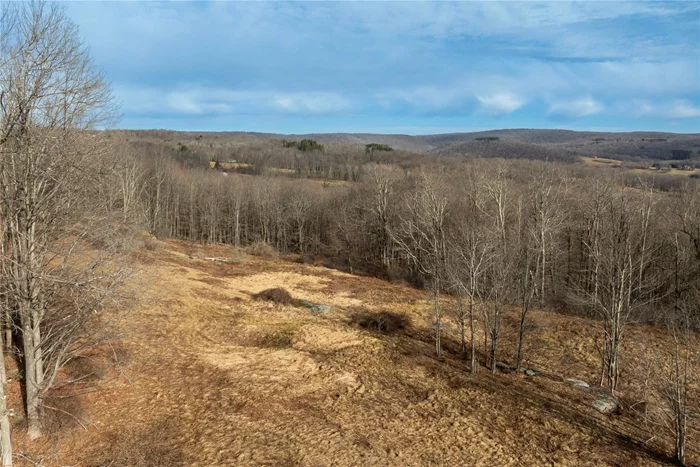 6 picture perfect acres nestled into the rolling hills that define this beautiful corner of the Catskills featuring an old stone wall, vast open meadows, woods to wander and seasonal mountain views. An ideal build site has already been determined and sits tucked into the gently sloping hillside for privacy. Once a grazing pasture and part of a much larger farm, this picturesque land is a great choice for the homestead you have been dreaming of. This incredible opportunity includes 6 acres, a current site/septic plan, and a choice of building plans provided by Debruce Lodge Builders.The current owner has done a ton of the groundwork to streamline the process between purchasing the property and having your own Catskills retreat to call home. Septic and proposed site plans, vendor contacts and quotes, and your choice of house plans are included with this offering. Each plan is for a charming home with an efficient footprint and everything you need for a country escape! This bucolic parcel is conveniently located 10 minutes from Main Street in Livingston Manor with its vast array of excellent dining, shopping and entertainment options - Threshold, The Walk In, Upstream, The Catskill Art Space, Homestedt and Seasons - to name a few! Great destination towns like Roscoe, Jeffersonville, and Callicoon are only 10-20 minutes away for even more things to do, see and eat. This area is famous for its fly fishing and vast array of ways to enjoy nature, and you are only 100 miles from the GWB. Offering does not include future permits, site work, building etc.