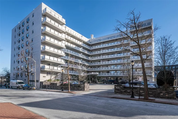 Welcome to an Immaculate 1 bedroom rental in one of the most desirable buildings in White Plains, the Cameo House. Spacious, 1100 sq ft unit on the 4th floor with a garage space. A wonderful terrace, and perfect floor plan that highlights a bright and airy space. New eat-in kitchen, Quartz counters, stainless steel appliances, plenty of counter space, closets galore and beautiful flooring through-out. Full service building with a laundry room on each floor, concierge service, and on site super. An easy walk to downtown White Plains, and public transportation. Heat/Hot water included. No Pets.