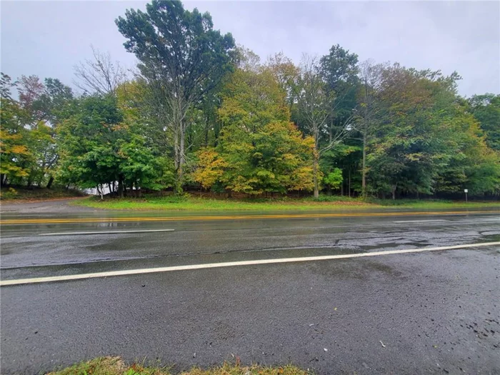 Rare find almost of acre of prime commercial property located on Route 303 in Blauvelt NY, very busy road with thousands of cars a day. Price just reduced $50, 00 seller said present reasonable offer also available for land lease, 159 feet of road frontage and over 250 feet is width. Perfect for a medical building or a professional office building. This property is located between Bradley Parkway and Minolta, directly across the restaurant Depot and the new brewery being built. 3, 000-4, 000 sq. ft. building can be built with approval from the town zoned for that use, also there will be plenty of parking. Bring your business to this high visible road, close to Route 59 to get to the Tappan Zee bridge, the NYS Thruway and 3 miles from the NJ boarder and the Palisades parkway. Additional Information: Soil Type: Unknown,