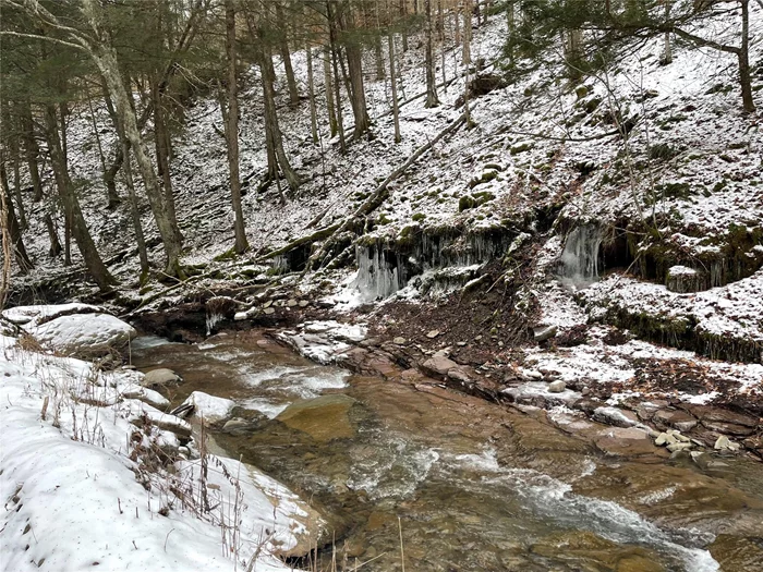 A rare gem for outdoor enthusiasts and fishing lovers alike! This 173-acre wooded parcel offers ultimate privacy, stunning mountain views, and a pristine stream â€“ Carcass Brook â€“ flowing right through it. Located in the beautiful Catskill Mountains, this is the perfect spot to catch beautiful fish, enjoy the natural beauty, and build your dream home in a secluded, peaceful setting. Whether you&rsquo;re looking for a private fishing retreat or a place to escape to nature, this property has it all! This property is also in The Forestry Program which keeps your taxes low and your forest healthy. Call today have have a look-see your yourself!