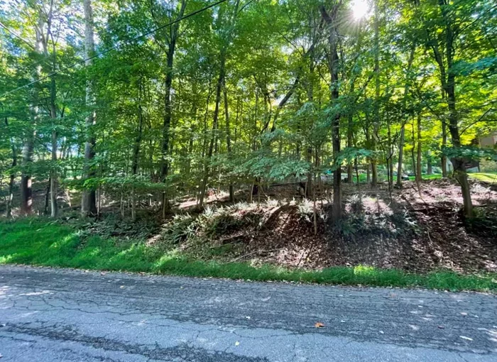 Enjoy Owning a Wooded Lot Situated on a Peaceful Cul-de-Sac within a Charming, Established Community! Drive-By Only Please do NOT walk on the Property!    Adjoining Lot is also Available!