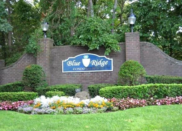 Blue Ridge awesome ground floor Blair unit! Updates include 2 year old kitchen w/stone counters/stainless appliances, 3 year old furnace/ HW heater, new washer/dryer, and new bath vanity. The unit includes plenty of closet space, a spacious living room, private patio, and in-unit laundry facilities. This active community offers a 9 hole golf course, indoor and outdoor pools, tennis/bocce, playgrounds, fitness room, club house, billiards, library, playroom, and tiki bar. Just move in and enjoy resort like living and have fun!!