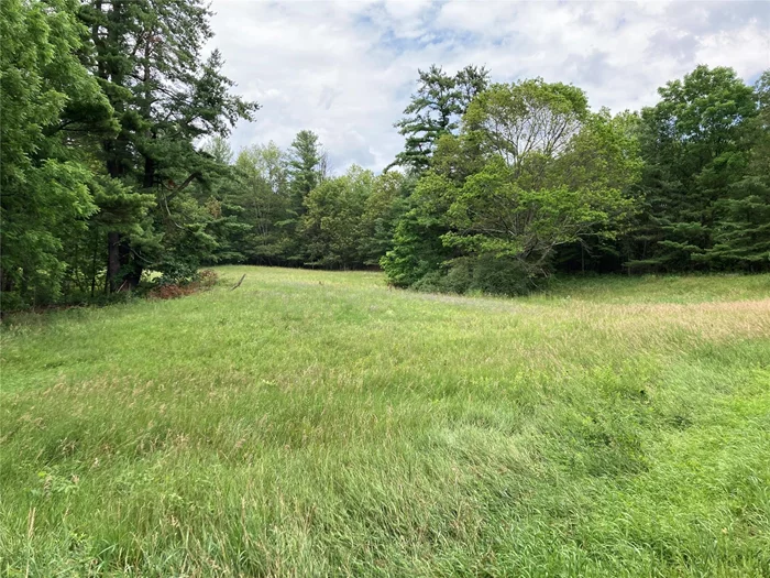 Situated on a charming country road in Dutchess County is this board of health approved 9.25 acre parcel and is ready to be built on. The property has a meadow that rises to the proposed house site with far reaching views of the rolling hills and surrounding farmland. There is road frontage on both Academy Hill and Ferris Lane. Conveniently located between Pine Plains and Rhinebeck, and just minutes to the Taconic State Parkway, make this an incredible opportunity to build your dream home.