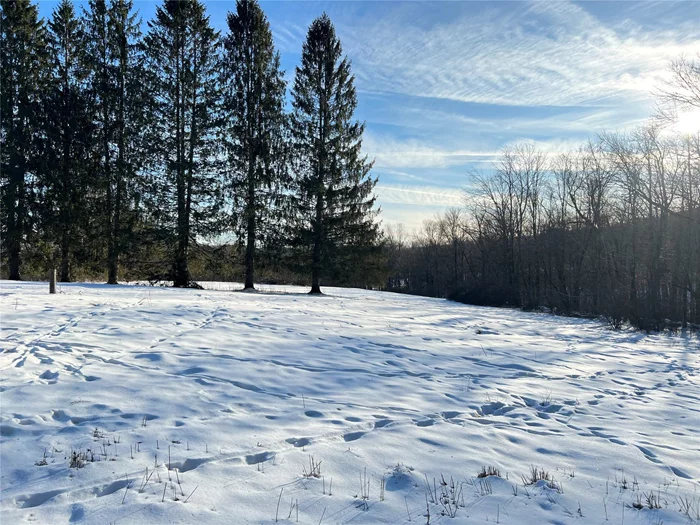 What a beautiful area to come home to in Sullivan County, NY. So peaceful and within minutes to Callicoon, NY, Villa Roma Resort, Bethel Woods Center for the Arts and mostly, the Upper Delaware River. a place for all seasons .29 1/2+- rural acres to make your own.