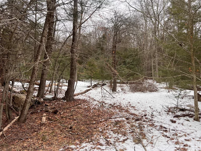 If you enjoy privacy and nature these lots are for you. Raw land fully available with two parcels, 35.-1-2.1 & 35.-1-2.2. This large lot boost many potential opportunities. Close to Resort Worlds, Bethel Woods, Route 17, Crystal Run, Legoland.