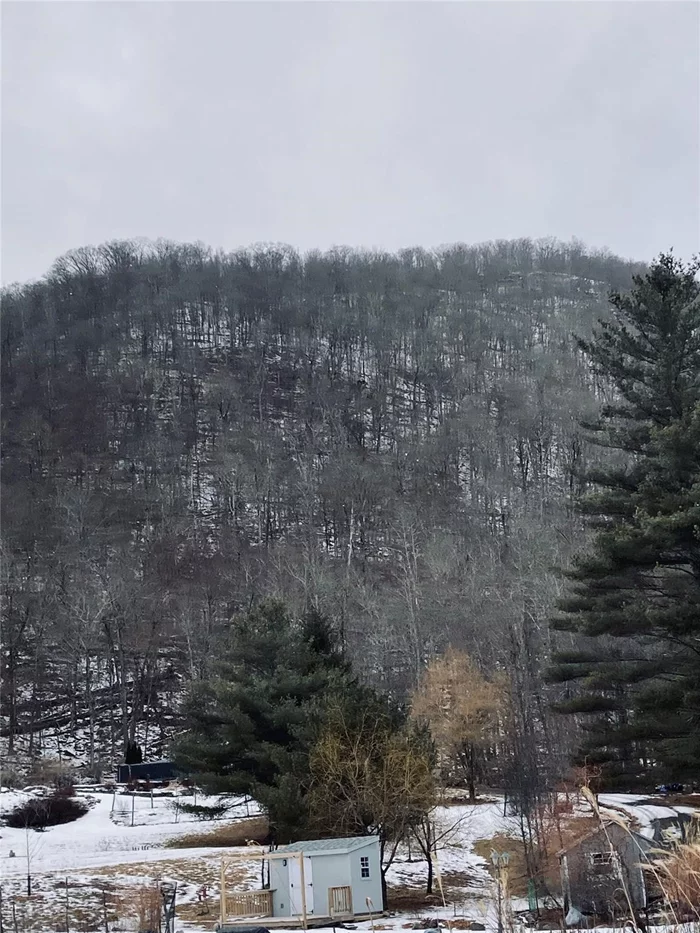 LOCATION LOCATION How does one put a price on waking up in the morning to the sounds of the birds singing instead of an alarm clock. Watching a mother deer walk across your lawn with her two newly born to start there day with a drink out of your pond, or take that morning walk along the trout stream. There is something about hearing the stream that all your stress is no where to be found. The property is surrounded by hundreds of Acres of state land. The Esopus Trout stream is five minutes away. Woodstock with all its shops is 20 minutes as well as Kingston. Up the road 15 minutes on Rt. 28 is Belleayre Ski Resort. Gondola Rides Free Summer Music Night Lake Beach Party Bash car shows Hiking the Mountains Biking, Fall Festival . Come up for a week end, stay a life time. Motivated Seller. Selling as is. All Reasonable offers will be considered.