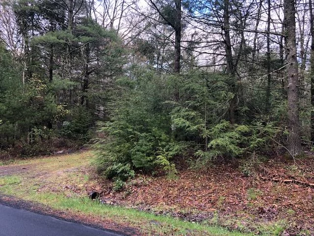 Beautiful wooded 22.3 acre parcel along quaint Crawford Road just outside of the charming Delaware river hamlet of Barryville. Close to Eldred, Yulan and the Delaware River.