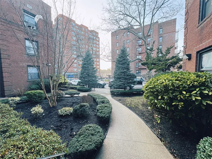 Spacious corner unit on grand floor, it is a beautiful Co-op 1 bedroom and 1 bathroom in heart of Briarwood. Eat-In Kitchen ?lots of closet and hard wood floor throughout. Close to all shops ? E & F express trains (walkable distance)