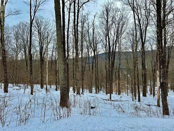 Discover a rare opportunity to own 12.5+ acres in the heart of the renowned Beaverkill Valley. Surrounded by the unspoiled beauty of the Catskills, this exceptional parcel offers a serene and private setting with a mix of mature woodlands and gentle rolling terrain. Perfect for a secluded retreat, dream home, or recreational getaway, this land provides ample space and stunning natural scenery. Outdoor enthusiasts will appreciate the proximity to the legendary Beaverkill River, know for its world-class fly fishing, as well as access to hiking and year-round outdoor adventures. Enjoy the peace and tranquility of this coveted area while still being conveniently located near Livingston Manor, known for great Breweries, Restaurants, shops and cultural attractions. Whether you&rsquo;re seeking a weekend escape or a forever home, this idyllic property offers endless possibilities.