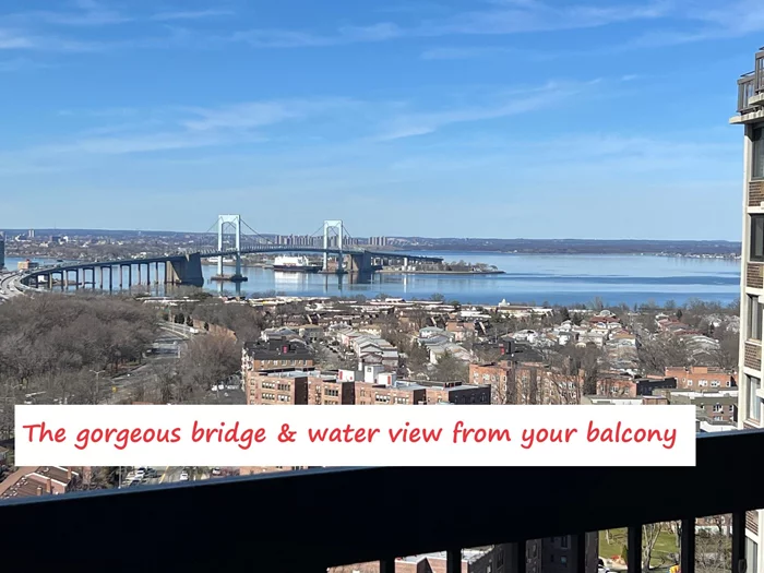 Bridge & Water Views from Your Balcony! Luxury high-rise living at its finest. This superb 21st-floor 1 BR/1 BA unit is located in the gated Bay Club community, offering a doorman, concierge, and 24-hour security. The kitchen features a granite countertop, Washer And Dryer On This Floor, and residents enjoy access to an award-winning, year-round swim & fitness center, a tennis & pickleball club, and indoor garage parking (extra fees apply). Conveniently near Bay Terrace Shopping Center, with banks, restaurants, shops, and a theater. Express bus to Manhattan and local bus to Flushing & LIRR. Move right in!