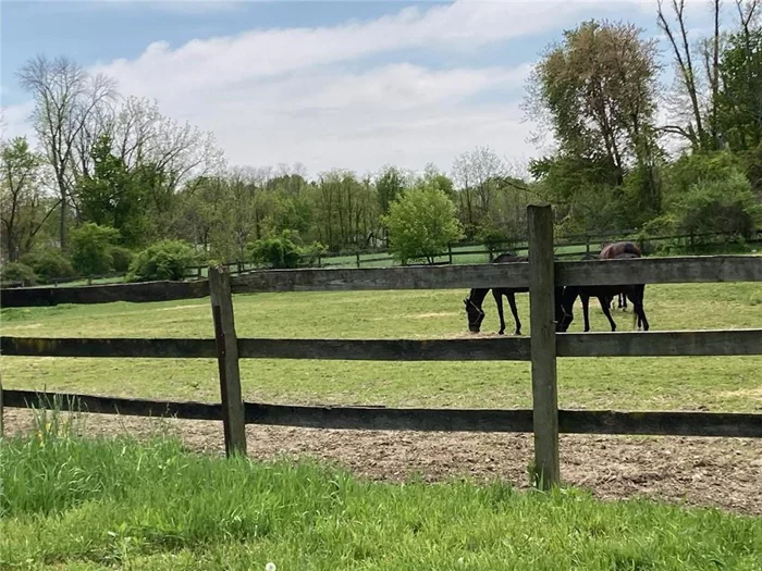 Exceptional leveled 54+ acres in center of town of East Fishkill. Ideal for horse farm, sub-division. Presently used as a horse farm. Barn, few homes and several ponds. Close to TSP, Route 376, shopping. Prohibited to go into property without permission.