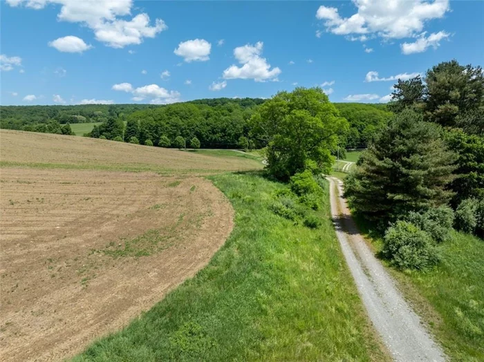 Discover a rare 150-acre estate in one of the Hudson Valleyâ€™s most coveted farmland corridors. This property offers a private building site accessed by a scenic driveway and showcases the best of Hudson Valley living where nature meets luxury. Enjoy panoramic views of protected farmland, Shekomeko Creek, and wooded mountains. Surrounded by conservation land, this estate ensures lasting privacy and natural beauty, with a pastoral landscape of historic farms and preserved lands. Conveniently located between Millbrook, Pine Plains, and Millerton, this estate combines seclusion with access to dining, shopping, equestrian facilities, and cultural attractions. An ideal opportunity to create a country estate, farm, or private sanctuary, this property includes established access, creek frontage, and breathtaking views, embodying the dream of a Hudson Valley estate.