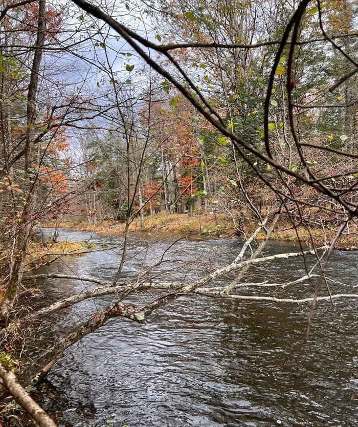 Nature lovers, anglers, and outdoor enthusiasts, rejoice! This 16.96-acre haven with over 400 +/- feet of water front on the Potic Creek is your gateway to a life of adventure and relaxation. Immerse yourself in the babbling waters, explore the lush woodlands, and savor every moment of the Upstate New York country experience everyone wants. Make this your retreat, your playground, your sanctuary, and let the endless possibilities unfold along the banks of Potic Creek. Located conveniently just outside Athens NY yet close to everything that is also happening in Catskill and Coxsackie!! Book your test hike today!!