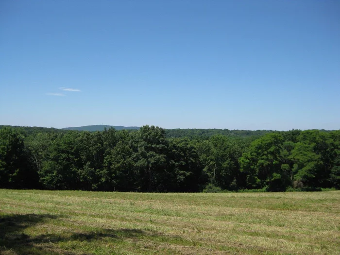 Located on Chestnut Ridge Road, seven miles from the Village of Millbrook, this exceptional and unique 84+ acre land property offers not only great topographic diversity but also has ready approved subdivisions. It consists of two separate tax parcels, complementing each other as a whole or separately. The first 15+ acre lot is accessible with its own long driveway up to a large hay field with expansive Southern and Western views, and a perfect and very private building site. Adjacent is lot 2, 68+ acres of beautiful woodland. Complete with logging trails that reach to the 1, 000 ft elevation apex. A large section of Stony Brook winds through the property. With its separate access to Ridge Road, this lot offers great development potential. Metro North is about eight minutes away. Survey and subdivisions map available.