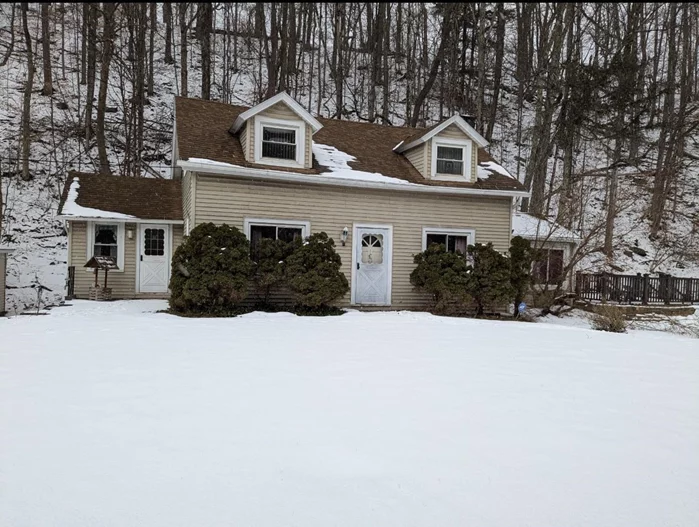 Your CATSKILL DREAM AWAITS! Welcome Home. This Cozy & Charming Cape Cod Offers Sunny Morning Mountain Views Creating a Serene and Picturesque Setting on a Spacious 3.5-acre Lot. Highlights Include: Woodburning Fireplace with Insert, Gleaming Hardwood Flooring, Baseboard Heat, Whole House Generac Generator, Leaf Guard Filters & Much Much More. Whether you&rsquo;re Looking for a Weekend Getaway or a Year-Round Retreat, this Home is the Perfect Place to Escape the Hustle and Bustle of City Life and Immerse Yourself in the Tranquility of Nature. Close To Belleayre Ski Center, The Village of Margaretville, Convenient to Shopping, Restaurants, Golf, Skiing & the Pepacton Reservoir!