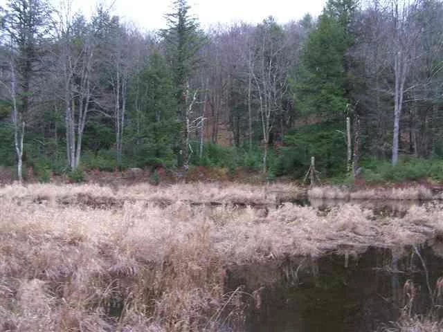 PRIVATE 11.66 ACRES WITH LARGE STREAM AT REAR OF PROPERTY, UNDER A MILE TO THE TWO MARINA&rsquo;S AND THERE IS A PUBLIC BOAT LAUNCH. ATTENTION LAND BUYERS, BUILDERS, DEVELOPERS, INVESTORS. THE LAKE IS FULL IN SWINGING BRIDGE DEVELOPMENT. WHERE YOU CAN ENJOY THE 9 MILE MOTOR BOAT LAKE. THIS GREAT BUILDING LOT (SUB DIVIDABLE) HAS PRIVACY AND EASY ACCESS TO ALL THE BEST OF SULLIVAN COUNTY ON 11.66 ACRES! ZONED RESIDENTIAL, THE COUNTY&rsquo;S LARGEST MOTORBOAT LAKE WITH FRESH AIR, AND SO MUCH MORE. MINUTES TO THE CASINO WHERE YOU CAN ENJOY MUSIC, ENTERTAINMENT, RESTAURANTS, HOTELS, PARKS, GOLF. ENJOY THE BETHEL WOODS CENTER FOR THE ARTS AND MUSEUM AT THE ORIGINAL 1969 WOODSTOCK FESTIVAL SITE. JUST 90 MINUTES TO METROPOLITAN NEW YORK CITY. ADJOINING 10+ ACRE LOT AVAILABLE. BUY ALL 21+ ACRES BUY BOTH LOTS 22 ACRES FOR FOR $199777-