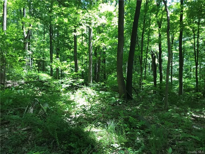 Beautiful wooded lot, lots of privacy.