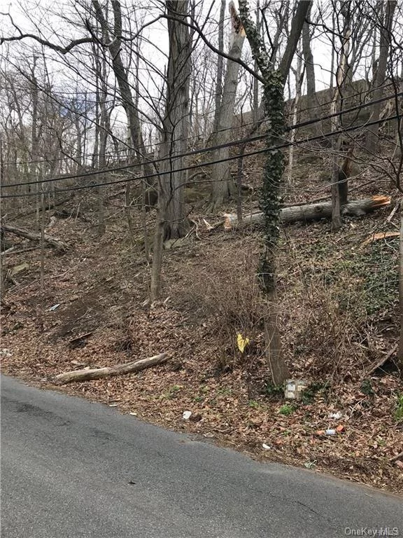 Build your dream home on this large lot, located in Park Hill Section of Yonkers. Zoning S-50 detached 1 family house. Access to property is on Undercliff in the back of house.