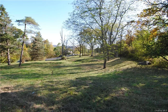 Scenic Mountain Views & Gentle Sloping 3/4 Parcel in Highland Mills, NY. Convenient to Stewart Airport, Woodbury Recreation, Hudson Valley Vineyards/Restaurants & Tons of Shopping at Woodbury Commons. This Corner Parcel Offers Shovel Ready Possibilities as it Sits on a Public Road with Water, Sewer & Gas.  Build Here & Capture the Scenic Seasonal Mountain Views And... Watch The West Point Parachute Team, The Black Knights, Train in Several Skydiving & Parachuting Maneuvers! Monroe-Woodbury School District & Approximately 2 Miles to NYS Thruway & Transportation. Site is Ready to Start Framing Your New Construction for Your Winter Project!!