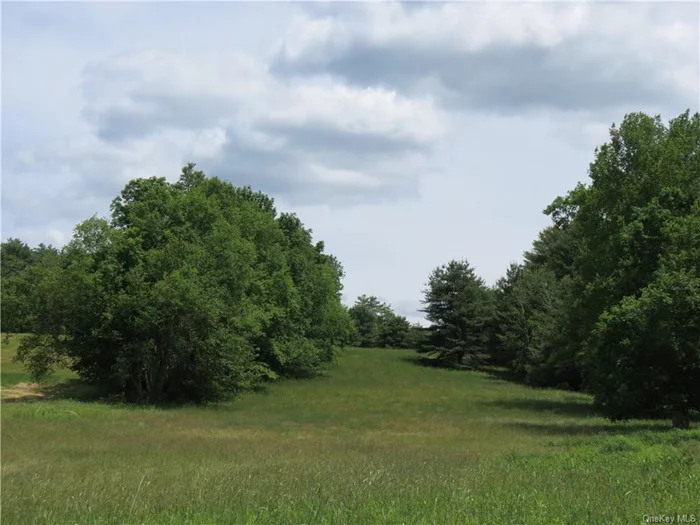 This wonderful property has rolling fields and countryside views! The land is almost 3 acres, level near the road, then sloping and mostly open fields with some mature trees dotting the border line. There is a small driveway near the road, but this land is otherwise undeveloped. Set on a quiet country lane, this is a great place to build your dream home!