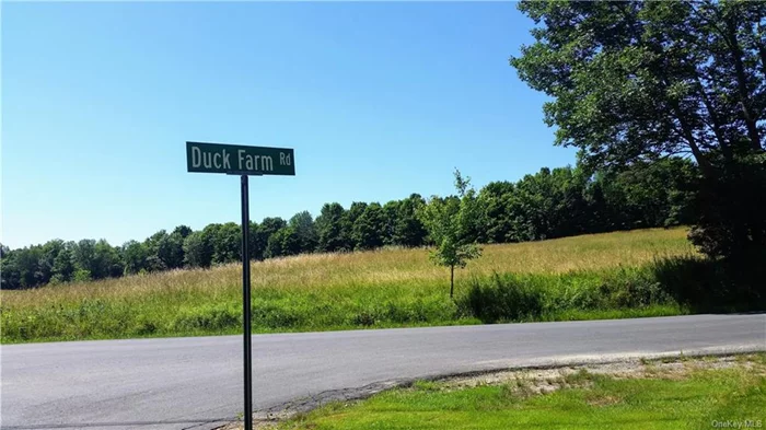 As seen from Old Chester Road at the intersection with Duck Farm Road.