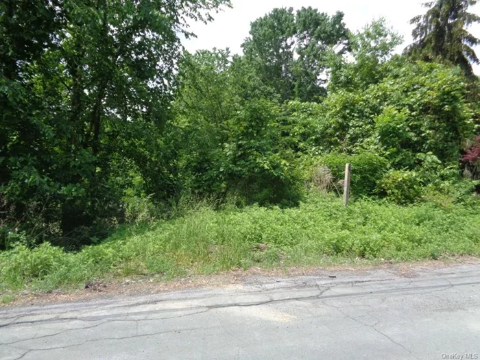 A lovely lot in a residential neighborhood located in Cornwall School District. Grandfathered in building lot suitable for a single family home. Variance is needed. No survey.