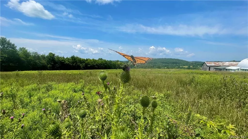 Build your dream home on this beautiful slice of paradise in Callicoon! Surround yourself with 31.53 acres of rolling fields and private woods. Close to the Villa Roma and amenities. Bring your imagination and your construction plans today!