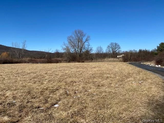 Spectacular 70 acre parcel located right outside the village of Highland. May be used as a farm or subdivided. Parcel has 3 rentals located on it in addition to 1 vacant house. Also on this property is a very large steel building with high ceilings and oversized garage doors as well as a barn! Close commuter location - Metro North, NYS Thruway, Mohonk Mountains and Hudson Valley Rail Trail. Endless opportunities await you