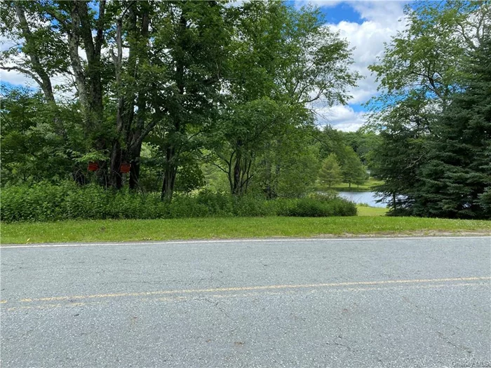 Can&rsquo;t find the perfect home? Build your own on this 1 acre building lot with beautiful view. Possibility for daycare with special use permit. Close to White Lake for motor boating and Jet skiing, Kauneonga Lake for lakeside dining, hiking trails, Bethelwoods Performing Arts Center, ResortsWorld Casino and Kartrite Indoor Water Park.