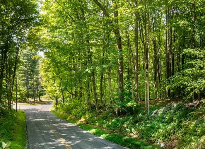 Now is your chance! Make this 1.47 acre lot in a residential neighborhood in Brewster yours and build the home you&rsquo;ve been dreaming of. On a quiet side street, set on a wooded, gentle hillside. Crossed by old stone walls and dotted with rock outcroppings and approximately 400 feet of frontage on scenic Sherwood Hill Road. Few parcels like this still exist. Located in a suburban area only 2.7 miles from Route 22 and 0.5 miles from the Connecticut state line at Milltown Road. Here you are just minutes to the Brewster Metro North Train Station, 684/84, shopping, restaurants, parks and outdoor activities.