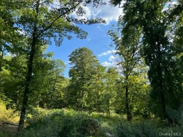 Build your dream home here!! Over 30 Acres of property which is close to restaurants, Shopping, Fishing, Boating, Parks and Fahnestock State Park. Also Located close to I-84 and Taconic Parkway, it makes for the perfect home for the commuter that wants to enjoy a home in a private well-kept area.