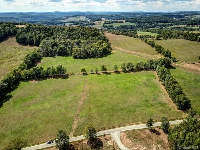 This 7.5+- acre lot provides a secluded open field, wooded terrain, and possible pond site. Just minutes to Jeffersonville and Callicoon located on a sparsely traveled town road.