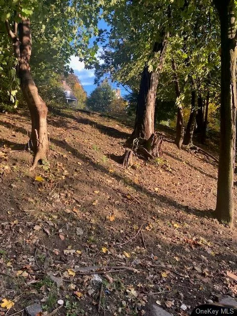 View of slope from street looking SW