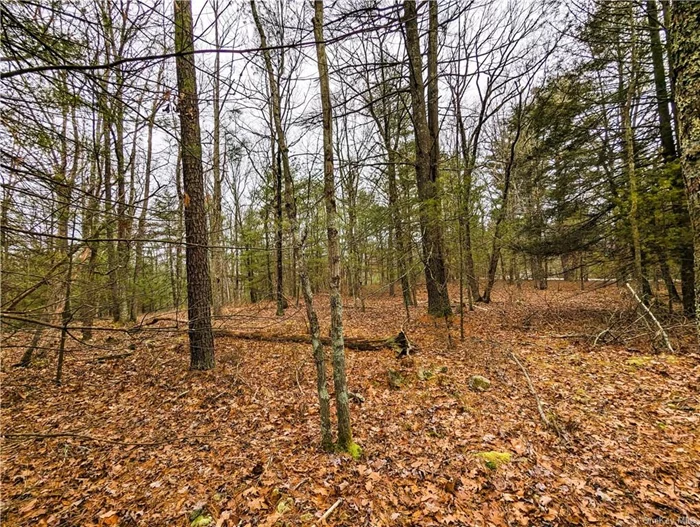 This beautiful 5.7 wooded and secluded corner lot is waiting to become your ultimate escape.  Private location, yet close to the small quaint country town of Barryville and its restaurants and other offerings. Just a stones throw from the Delaware River National Park and only steps to 100+Acres of State Forest to explore.