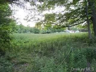 Start Your Plans and Dreams Here! With This beautiful 5 Acre Parcel Of Land, A Great Commuter Location Minutes To I84, Rt52, Rt22, Brewster/Metro North Train Station And Local Shopping, 15 Minutes in Either Direction To Fishkill New York Or Danbury Connecticut, come view this great property for your self, you may find it worth the while to build your dream home