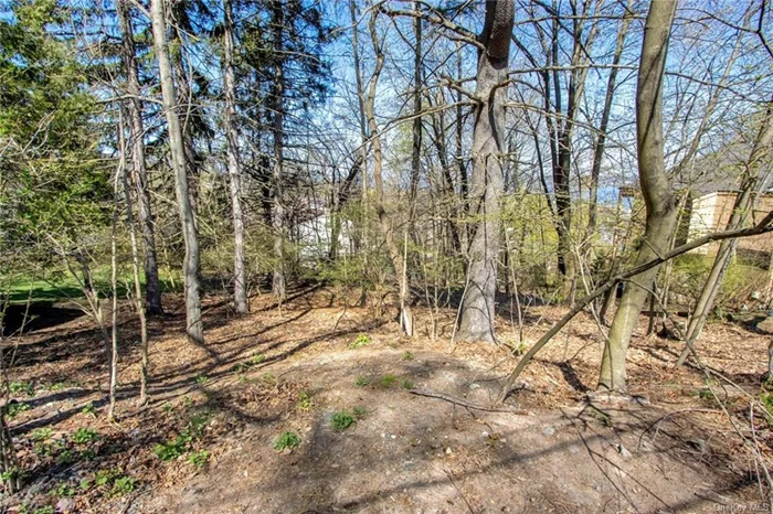 .32 Acre hillside residential lot setting is worthy of an extraordinary home. Let the land inspire you to build your dream home. Seasonal river views.