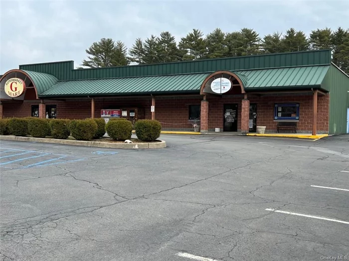 This is Class A space. Triple Net lease. Perfect for Medical office, Professional or a retail build out. Minimum length of Lease 5 years w/ option. Former Medical Office with Reception area, Patient well room, 6 Exam Rooms. Located in the busy G-mart shopping center on Rt.209 Wurtsboro, Ez exit off 17/86.