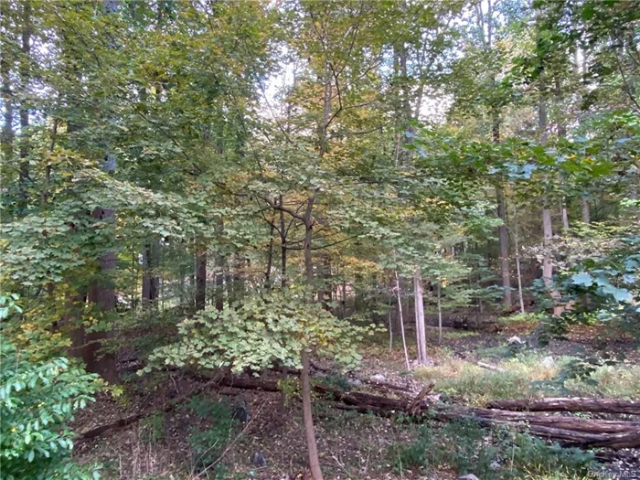 Build your dream home on over 2 acres in this peaceful, idyllic setting abutting the Hardscrabble Wilderness area, yet close to shopping, library, schools and highways. Wooded, varied topography, very private lot only minutes from both Briarcliff Manor and Pleasantville villages. The adjacent property was the 1937 House of the Year, first home in the area to have gas fuel and an architectural marvel. Lovely neighborhood, desirable location. Make it yours! Land like this in this district is hard to come by. BOHA required. Gas, electric, municipal water service on Dogwood Lane.
