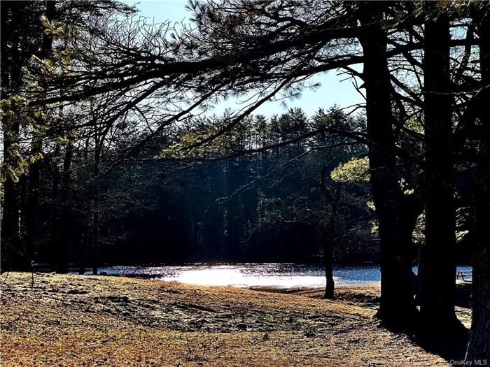 Community/picnic area.